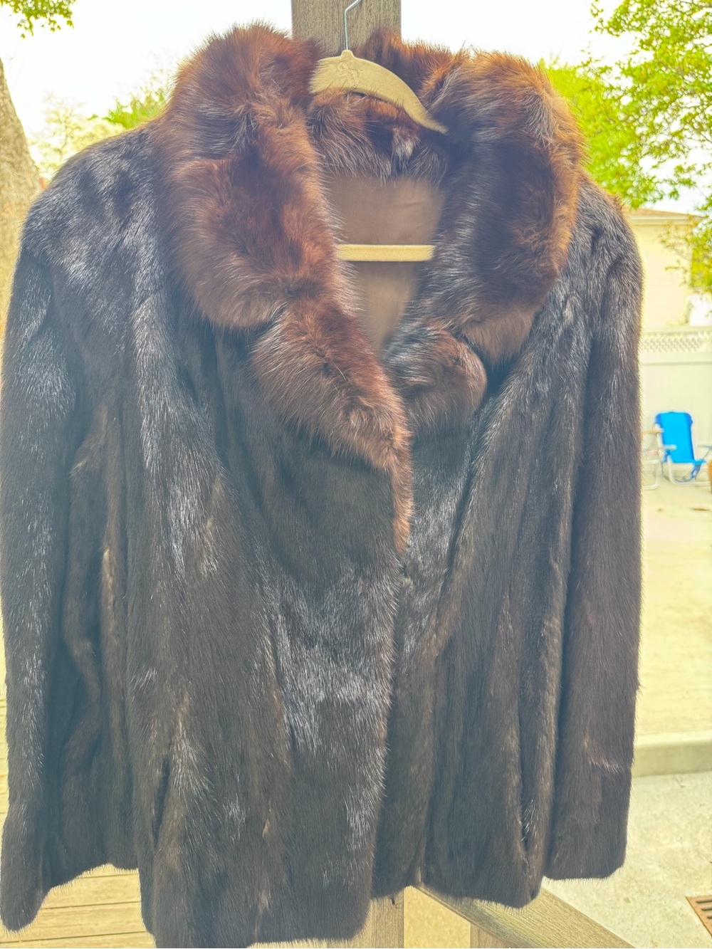 Mink stroller with Russian sable tux collar